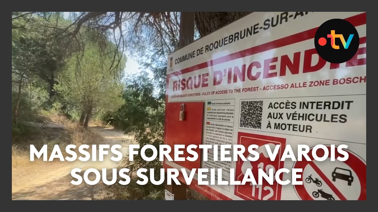 Les massifs forestiers varois sous surveillance pour des risques de feux de forêt