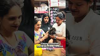 Best pet shop in Yamuna nagar Haryana call any enquiries 9355229973 #petshop #petmall #petmart ￼