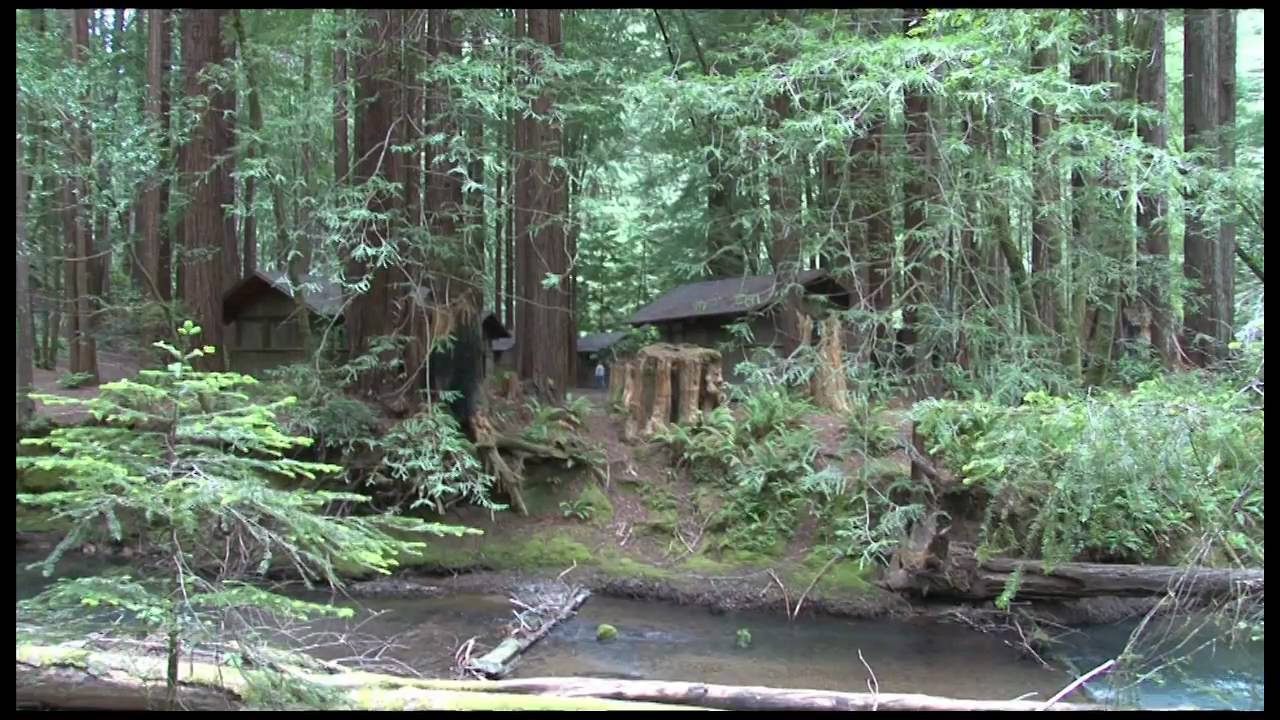 Mendocino Woodlands Camp YouTube