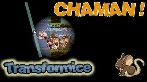 Transformice - chamane techniques débutant