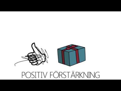 Video: Vad är positiv förstärkning inom psykologi?