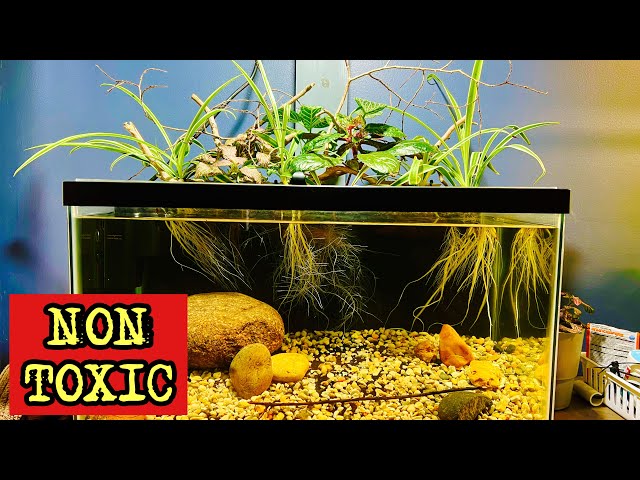 Is Great Stuff toxic for Fish/Plant or is it safe?