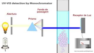 HPLC   UV   VIS detection of analytes Animated