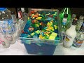 TikTok Candy Jungle Juice