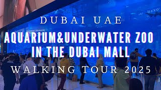 [4K] Dubai Aquarium & Underwater Zoo in the Dubai Mall Walking Tour 2025 Dubai UAE