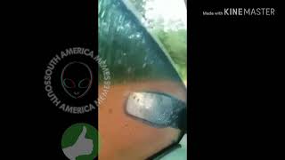 Como Ser Uma Pessoa Calma