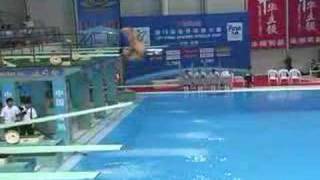 2006 world cup chong he 305b 1m