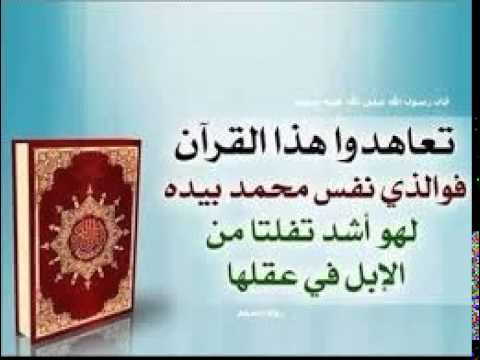 من أفضل مارتل سعيد دباح الجزائري سورة الذاريات  surat al dariat 