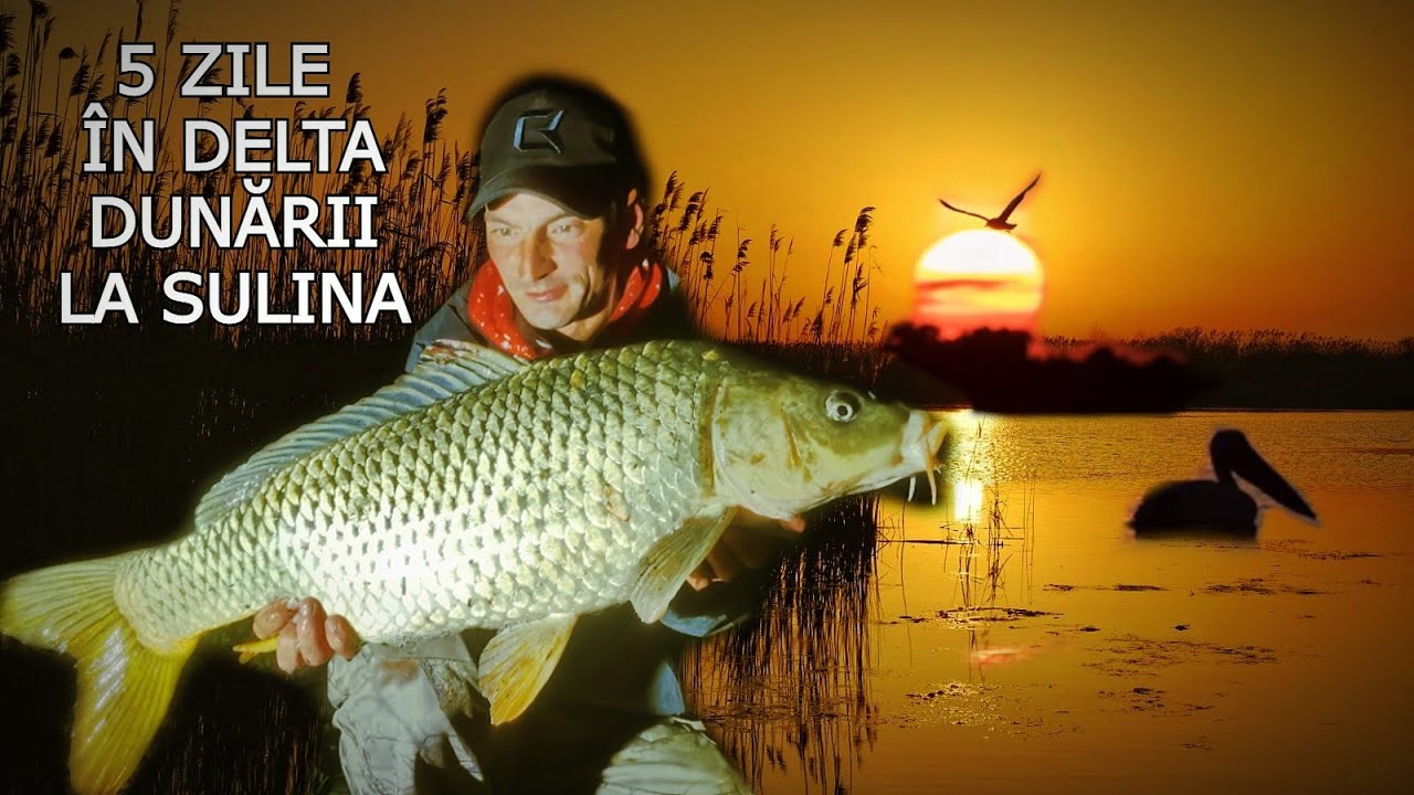 Pescuit  5 ZILE IN DELTA DUNARII si CRAP RECORD Personal, unde Dunărea îmbrățișează MAREA