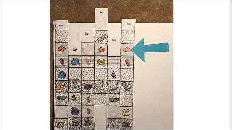 Index fossils - step 3
