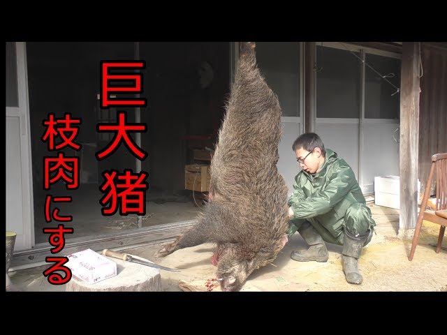 大物イノシシの皮剥ぎ - YouTube