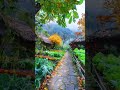 Dream hideaway #countryside