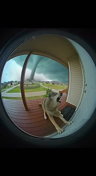 tornado warnning, Do not remain outdoors。it's very dangerous! #funny #tornado #dangerous