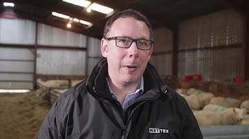 Nettex Ultra Concentrate Lamb Colostrum