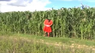 Cholita Valluna Haciendo Cositas Dentro De Un Maizal