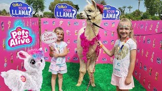 boppy llama