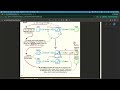 CSE427 | RNN and Word Embedding