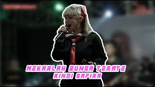 MEKARLAH BUNGA TERATE - Rindi Safira - Republik Metro Live Kandangan Ngawi