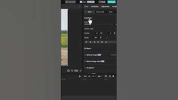 How to ANIMATE Still Photos in CapCut PC