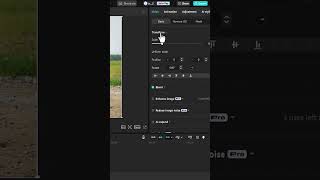 How to ANIMATE Still Photos in CapCut PC