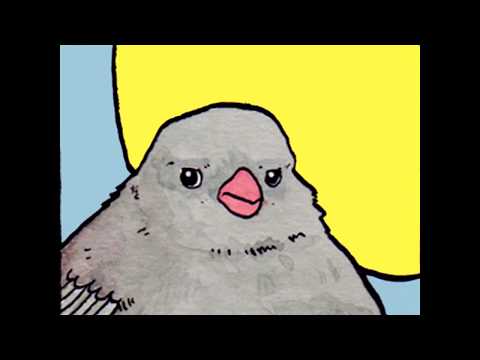 annoyed-bird-(pÁjaro-cantando)-meme-template/plantilla