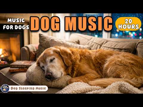 강아지가 좋아하는 음악🐶💖강아지 수면 음악 20시간🐶🎵분리불안 완화와 편안한 휴식을 위한 힐링 음악🎵혼자 있을 때 안심되는 음악🎵외출할때 꼭 틀어주세요