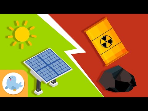 Video: Quale tipo di organismo utilizza l'energia della luce solare e la converte in energia chimica?