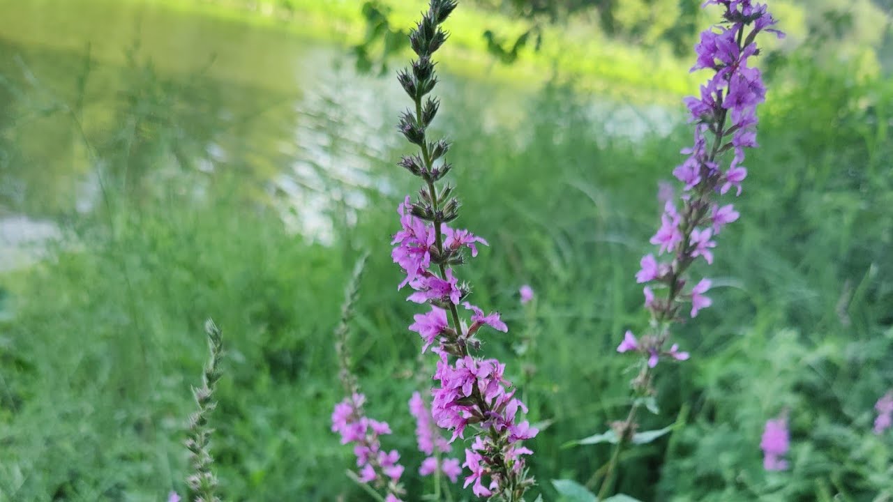 Great day hikes in Northern Indiana! 