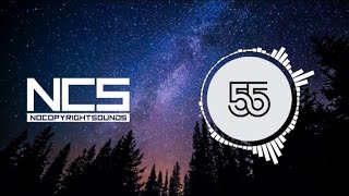 JOHN SIB - Tropical House [ELECTRONIC NCS]