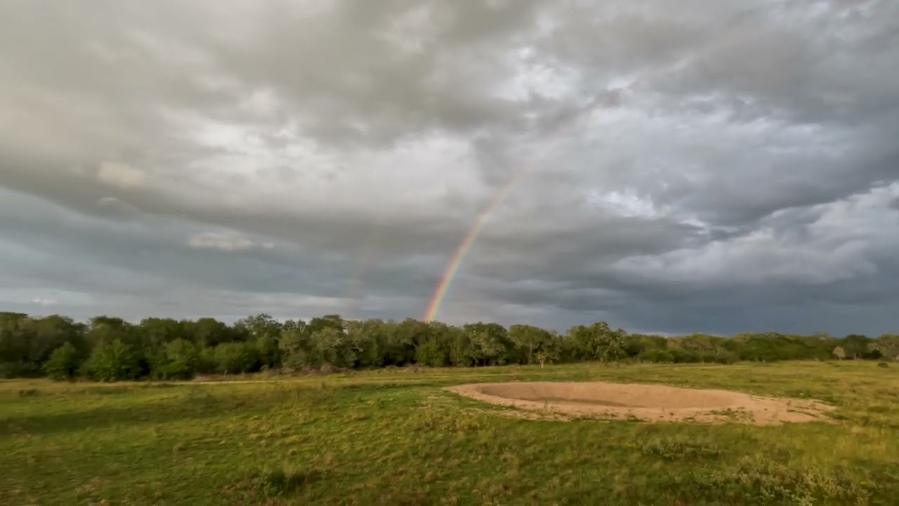 Rainbow From The Blind
