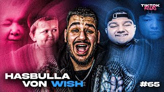 Er Ist Hasbulla Von Wish Tiktokkelbs 65 Onurcan