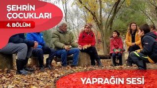 Şehrin Çocukları TRT EBA 4. Bölüm#yaprağınsesi screenshot 5