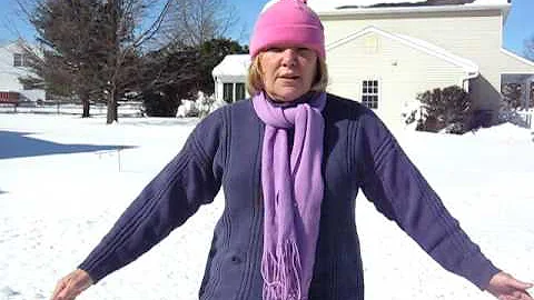 SNOW ANGEL THERESA WALTON 2010