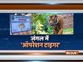 Maharashtra: Shoot-to kill-order for 'man-eating tiger' in Yavatmal