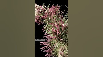 Blender 3D animation #blender #blenderanimation #tutorial #animationvideo #blenderbeginnertutorial