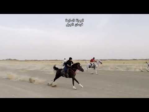 سباق خيل حماسي لفرسان الجبل وفوز البطل شعلان