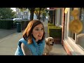 When Even the Dog Wants Passive Income... #DeVpn #Shorts