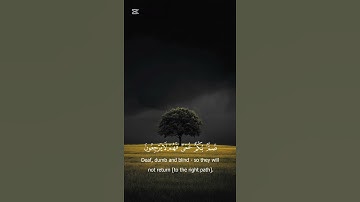 تلاوة رائعة من سورة البقرة 🍃🕋 أحمد النفيس 🍃🕋