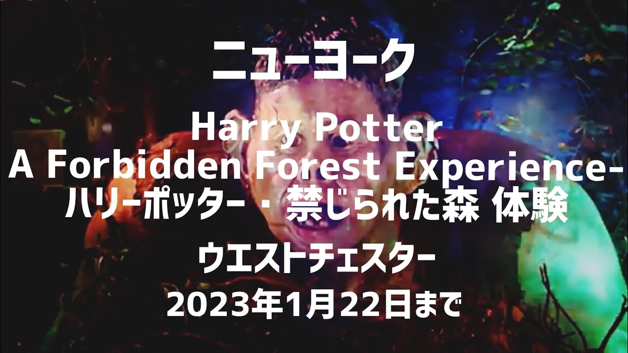 【期間限定イベント】Harry Potter 禁じられた森 体験Westchesterに行ってみた(1月22日まで) YouTube
