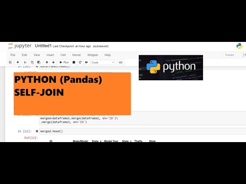8. Python Joins (Pandas): How to perform self-join in a dataframe