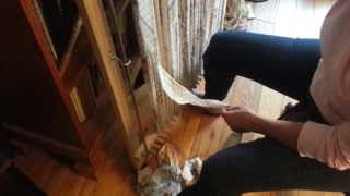 How to Warp a Twining Loom