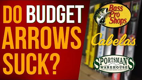 Archery Review Arrow Comparison - Budget VS Expens...