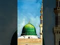 پیارا نبی صلی اللّٰہ علیہ و آلہ وسلّم ❣️