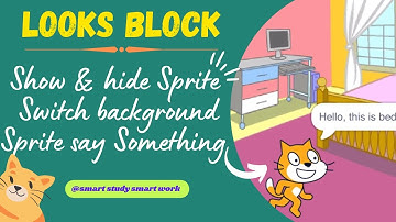 Show and hide sprite | Switching backgrounds | Looks block | Sprite say something in message