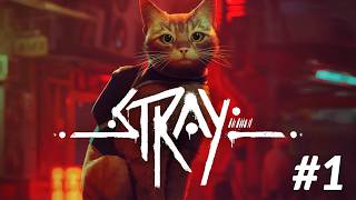 EN LAS PATITAS DE UN GATO CALLEJERO | Stray | PARTE 1 | Gameplay Español