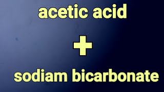 Acetic Acid Vinegar Sodiam Bicarbonate Baking Soda Nahco3Ch3Coohch3Ah2Oco2