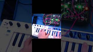 Evolving Arpeggios: 0-Coast &amp; Keystep 37 Live Improv (excerpt 3 of 4)