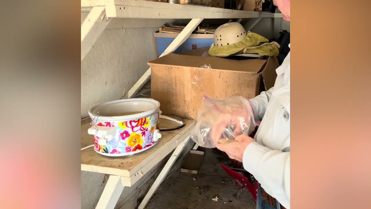 Bee hive inspection Match 1st 2026- Newbie beekeepers