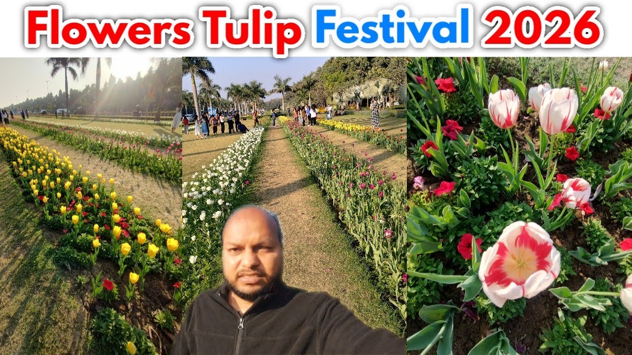 Tulip Festival 2026 🌷| Tulip Flowers Festival Chanakyapuri Delhi