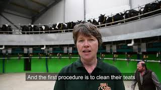Rotary milking parlour at Wildon Grange Farm. 4th June 2019